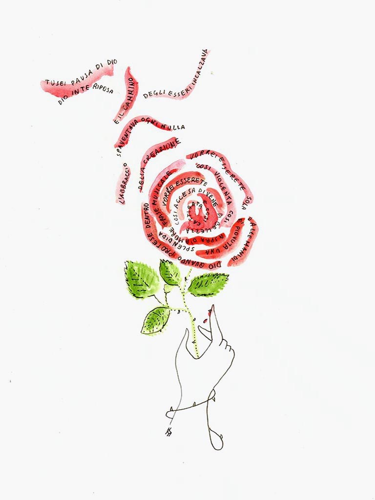 Une rose — Fabio Sedia